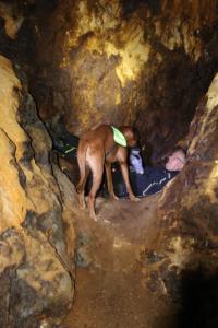 2018 Ausbildungswoche Arber